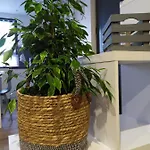 L'atelier De Robert Καρκασόν
