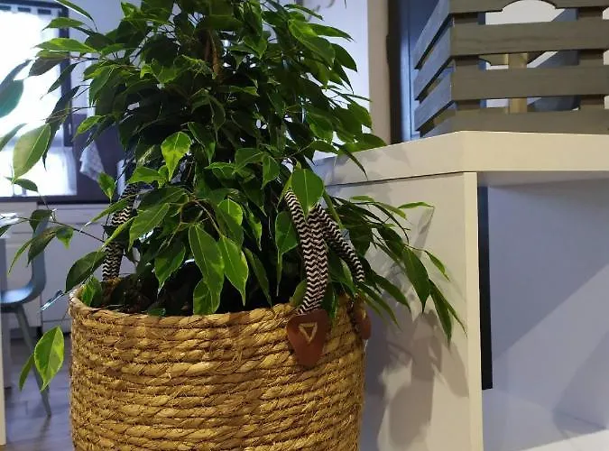 L'atelier De Robert Carcassonne